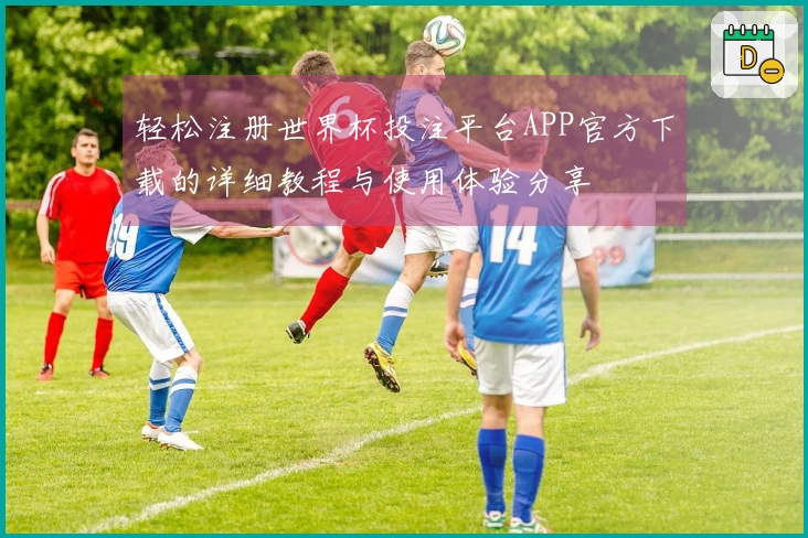 轻松注册世界杯投注平台APP官方下载的详细教程与使用体验分享