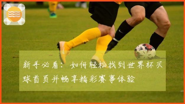 新手必看：如何轻松找到世界杯买球首页并畅享精彩赛事体验