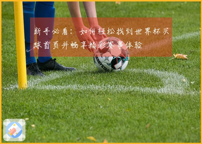 新手必看：如何轻松找到世界杯买球首页并畅享精彩赛事体验