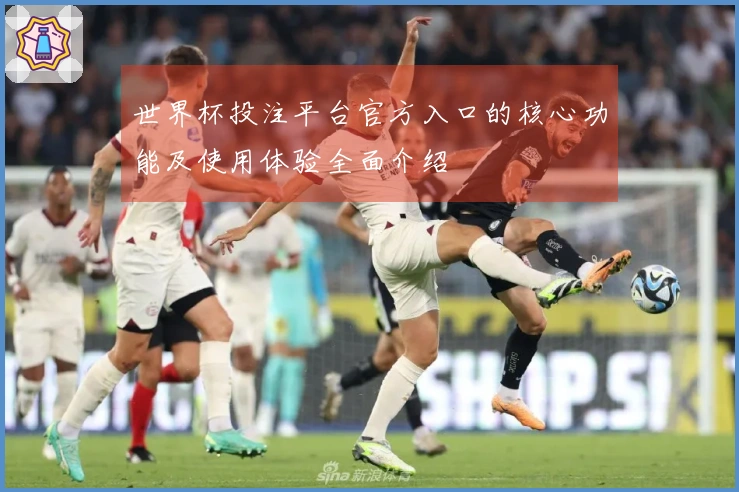 世界杯投注平台官方入口的核心功能及使用体验全面介绍