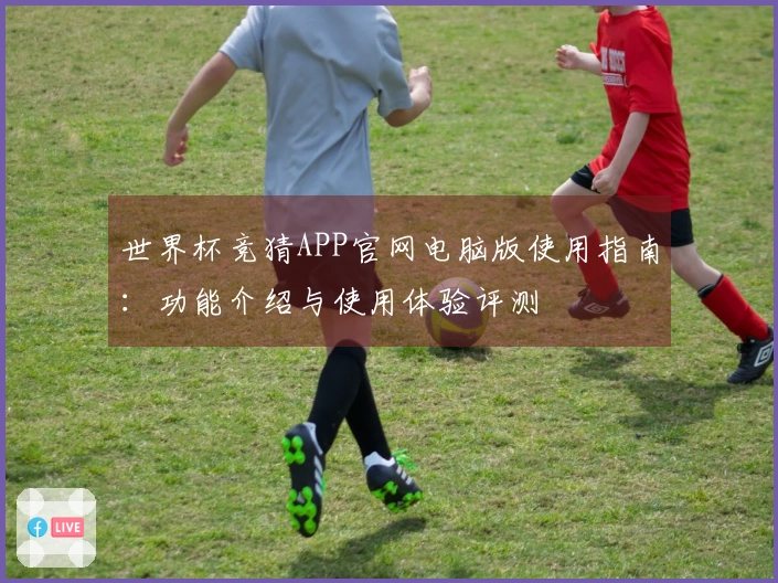 世界杯竞猜APP官网电脑版使用指南：功能介绍与使用体验评测