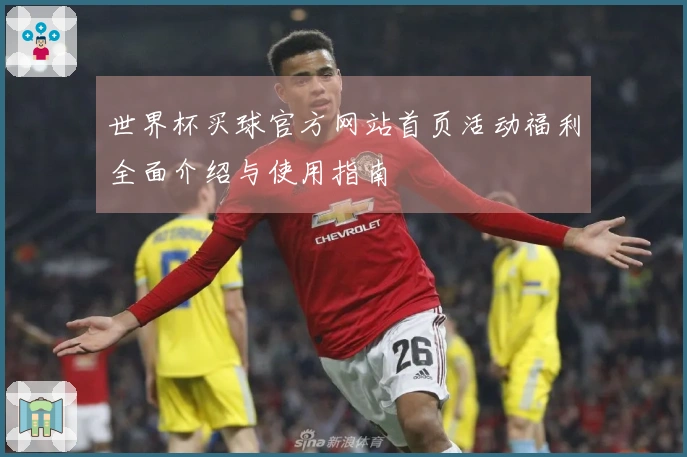世界杯买球官方网站首页活动福利全面介绍与使用指南