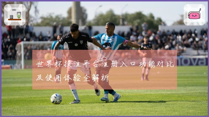 世界杯投注平台注册入口功能对比及使用体验全解析