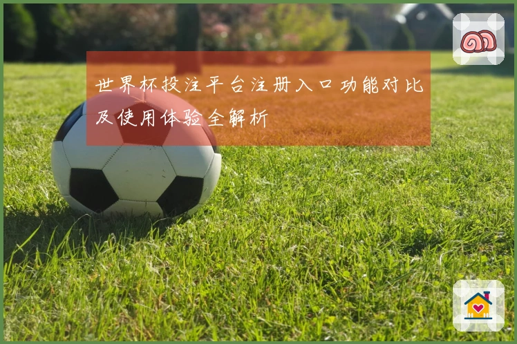 世界杯投注平台注册入口功能对比及使用体验全解析