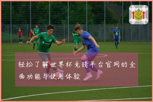 轻松了解世界杯竞猜平台官网的全面功能与使用体验