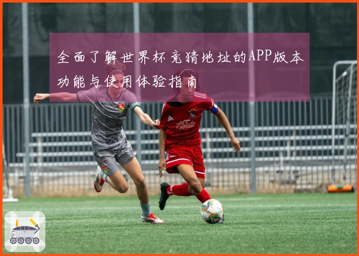 全面了解世界杯竞猜地址的APP版本功能与使用体验指南