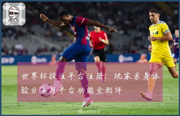 世界杯投注平台注册：玩家亲身体验分享与平台功能全测评