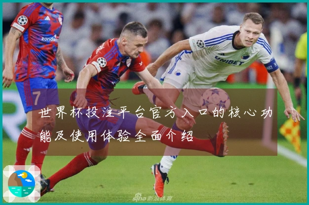 世界杯投注平台官方入口的核心功能及使用体验全面介绍