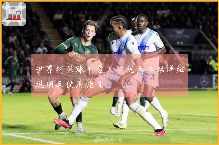 世界杯买球平台入口优惠活动详细说明及使用指南