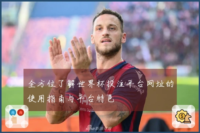 全方位了解世界杯投注平台网址的使用指南与平台特色