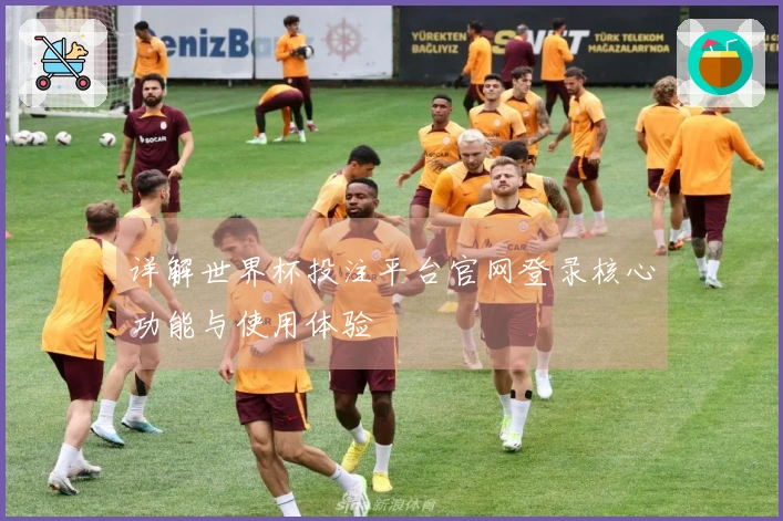 详解世界杯投注平台官网登录核心功能与使用体验