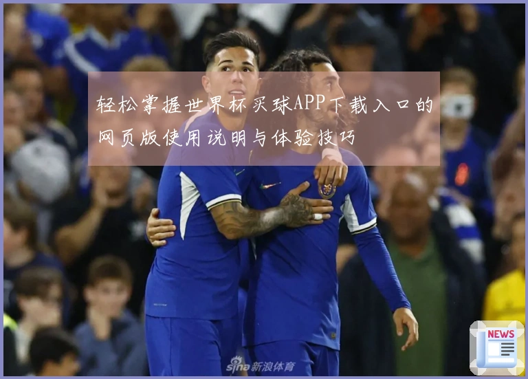 轻松掌握世界杯买球APP下载入口的网页版使用说明与体验技巧