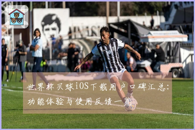 世界杯买球iOS下载用户口碑汇总：功能体验与使用反馈一览