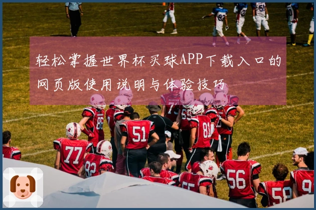 轻松掌握世界杯买球APP下载入口的网页版使用说明与体验技巧